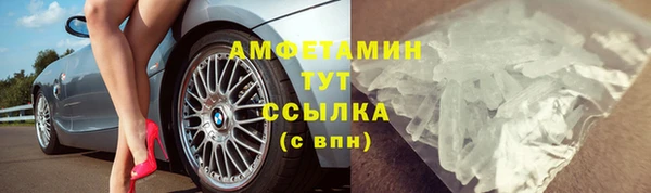 мяу мяу мука Иннополис