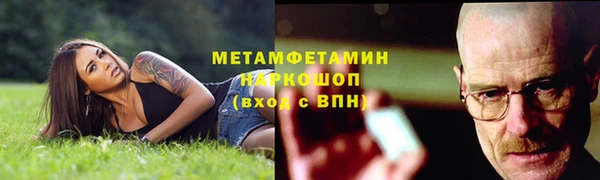 мяу мяу мука Иннополис