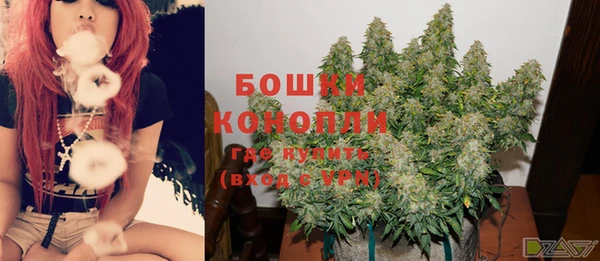 COCAINE Инсар