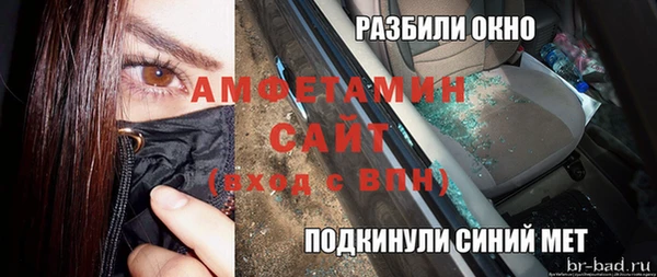 мяу мяу мука Иннополис