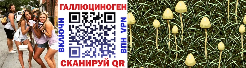 Галлюциногенные грибы GOLDEN TEACHER  Серпухов 